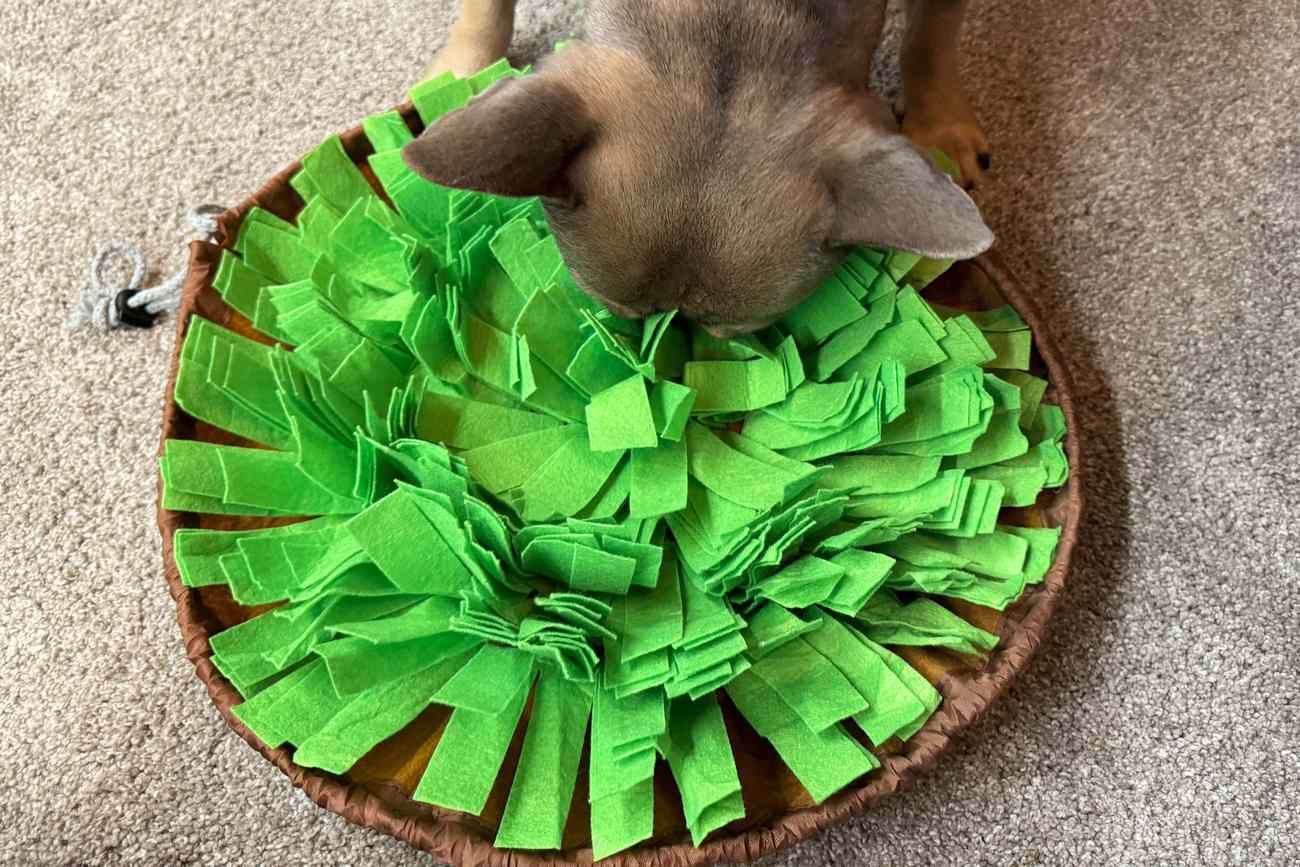 Snuffle mat
