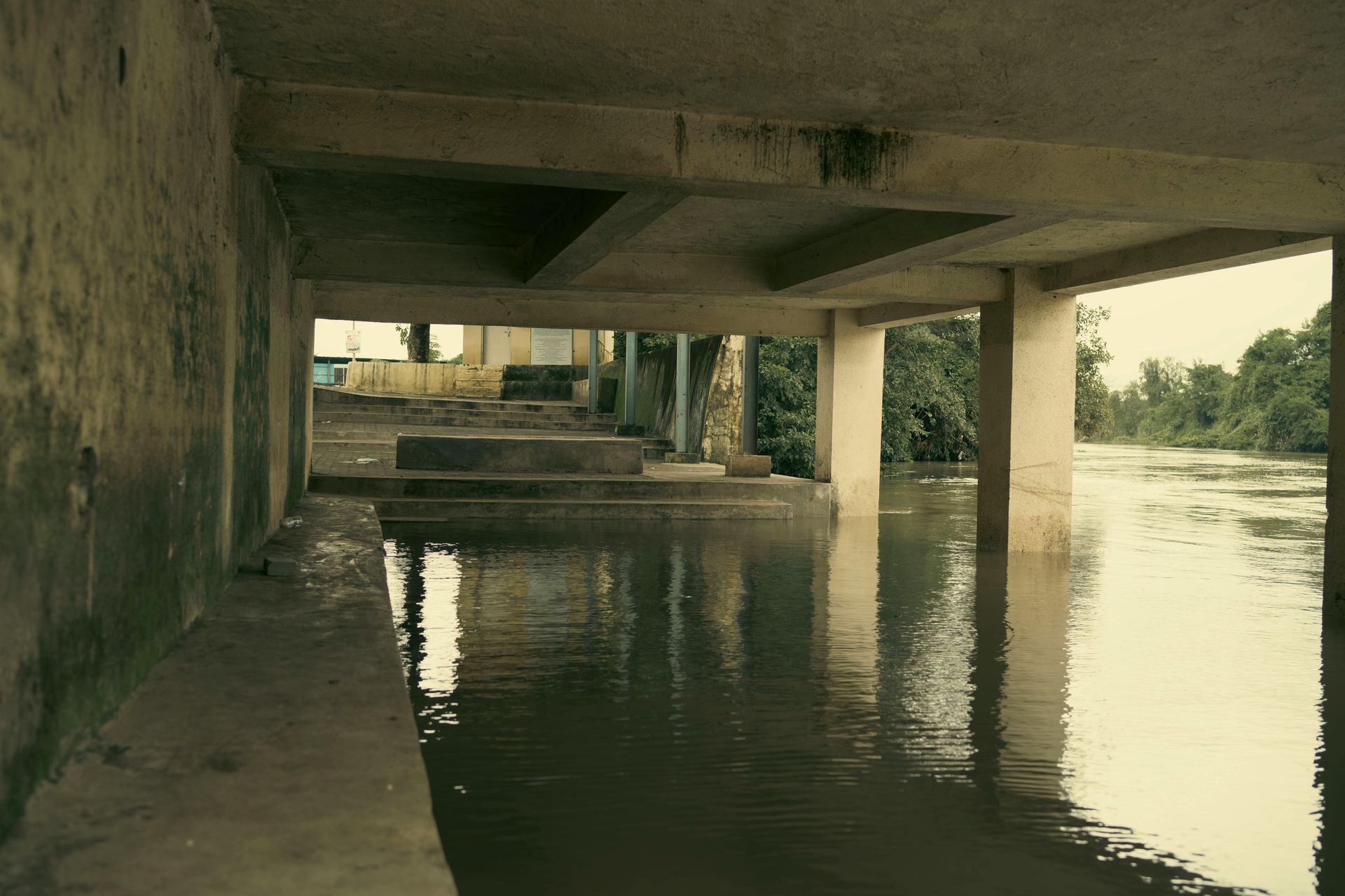 pexels-photo-13223132
