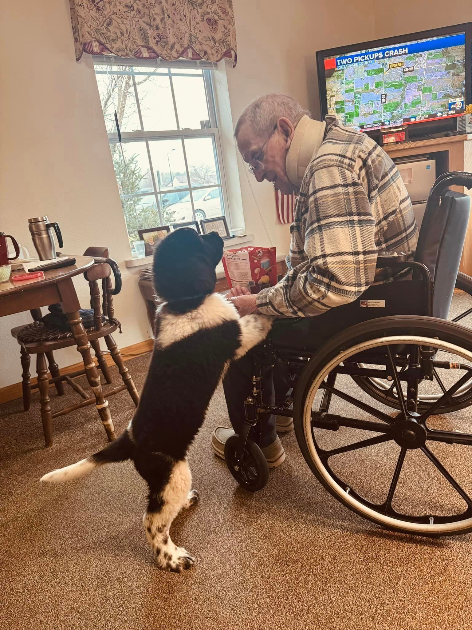 A man in a wheelchair is playing with a dog.