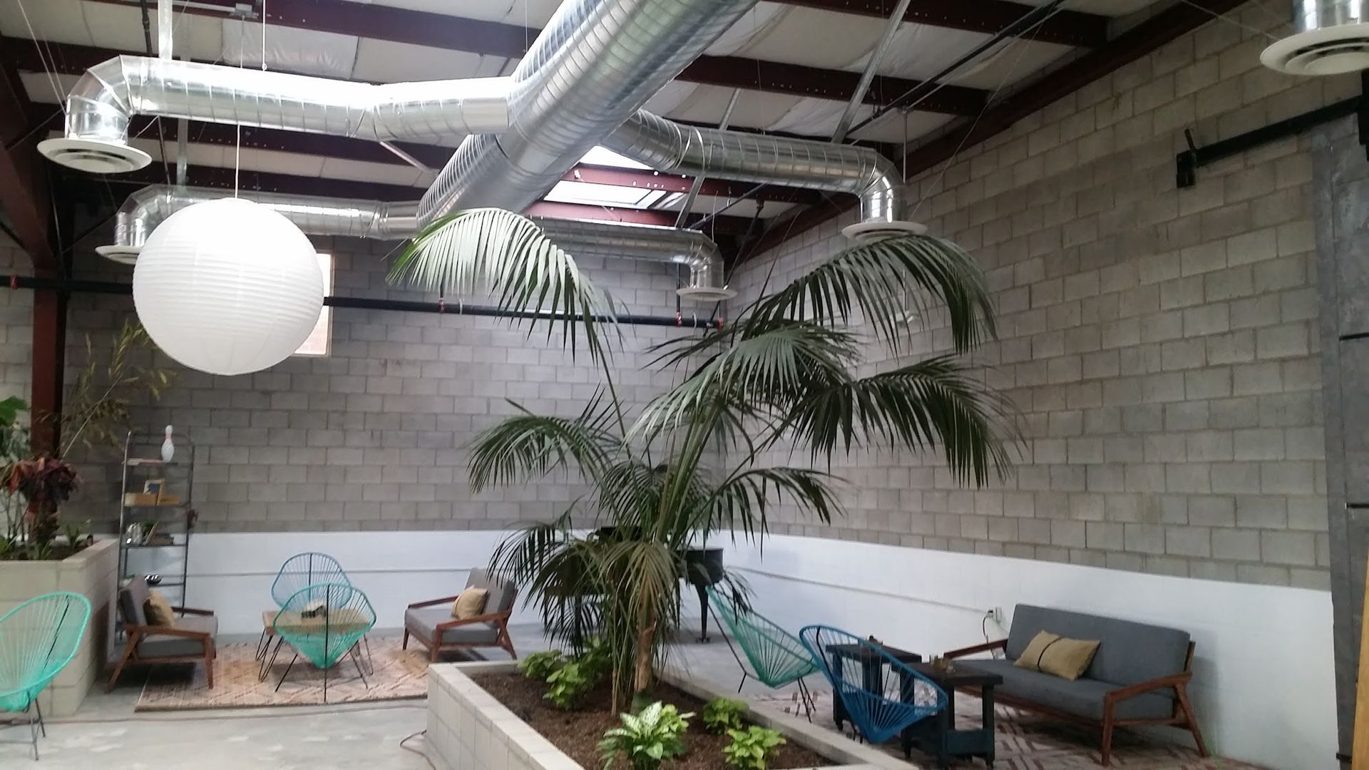 Indoor space with a palm tree, seating, and industrial ceiling with ductwork.