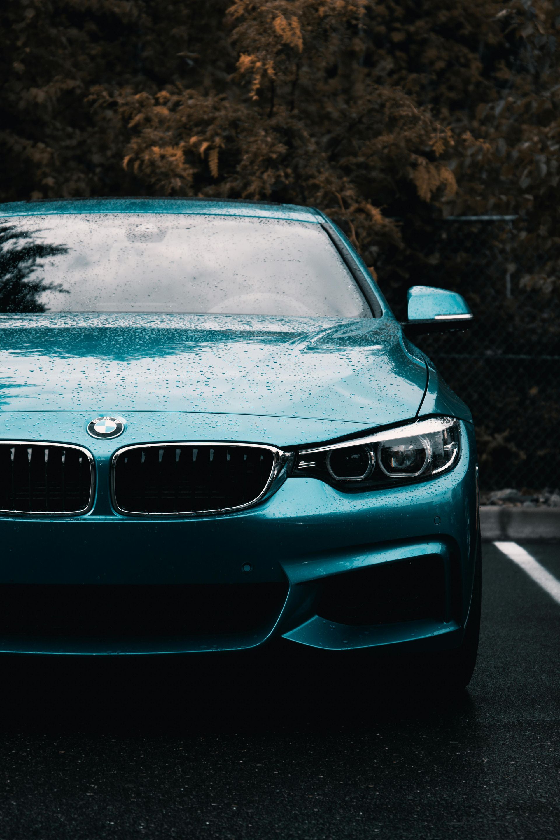 Teal BMW parked in front of a dark wooded area. Raindrops on car's surface.