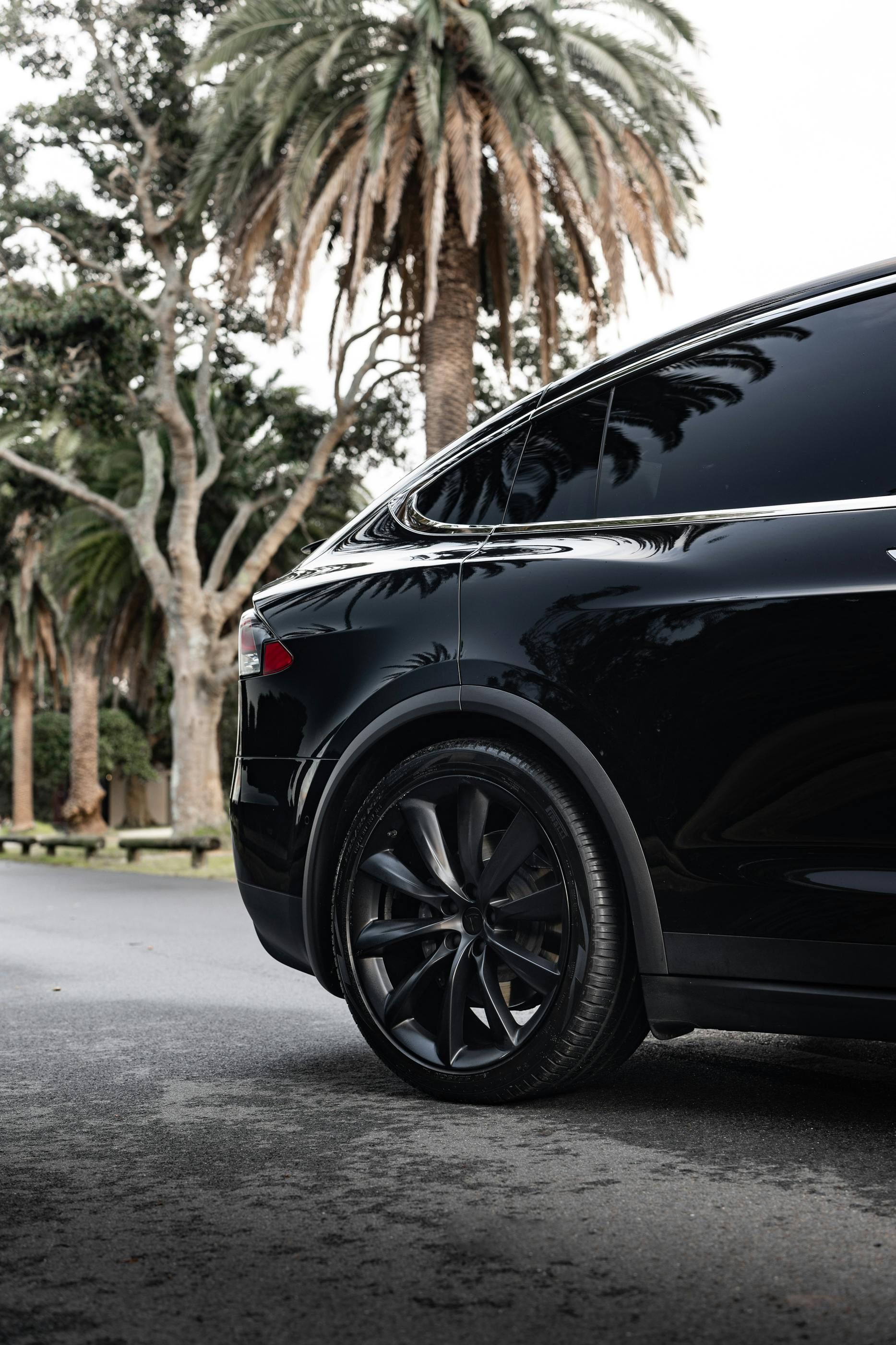 A black tesla model x is parked in front of a palm tree.
