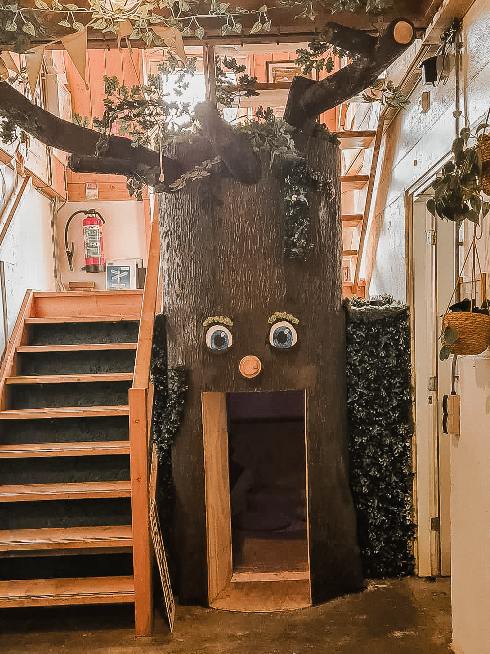 Droomboom