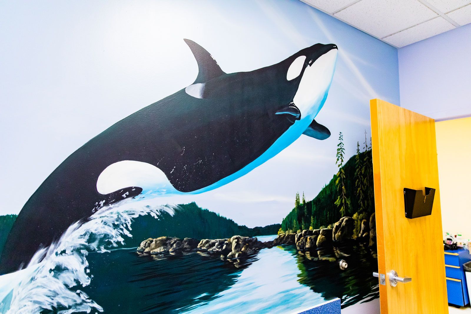 A picture of a killer whale on a wall next to a door