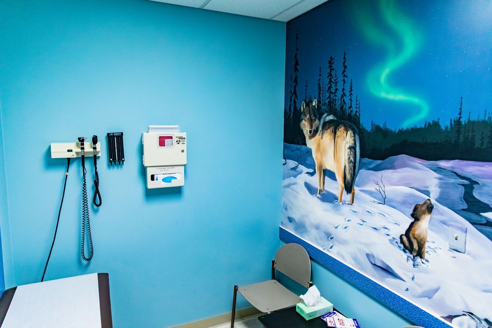 A doctor 's office with a painting of a wolf on the wall