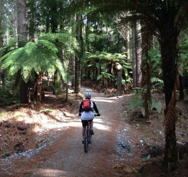 West Coast Wilderness Cycle Trail