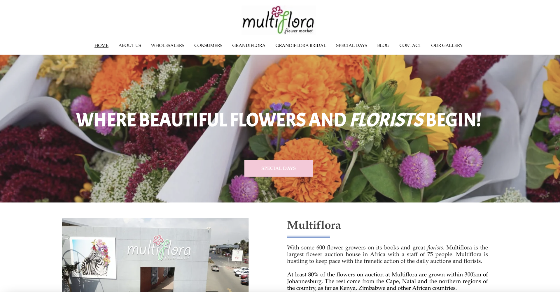 Multiflora website @ Webshure