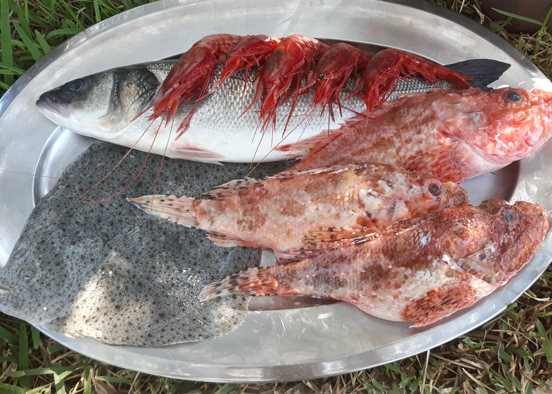 Tre pesci crudi su un vassoio di metallo, con condimento rosso o sangue sui corpi.