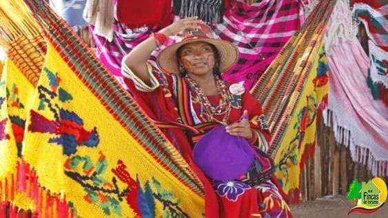 Festival Wayuu