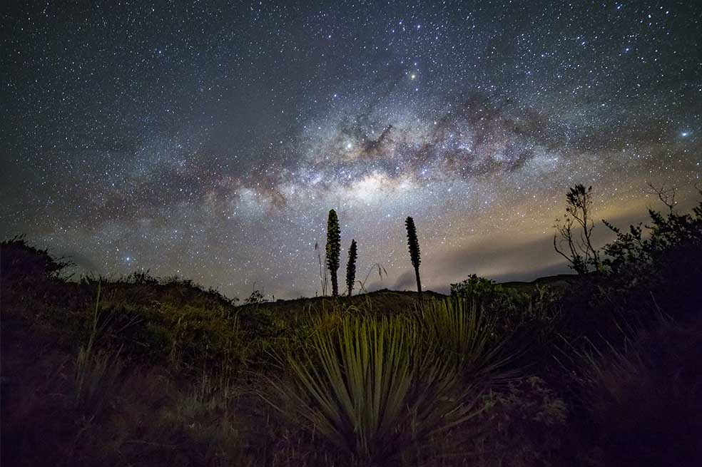 Por la noche