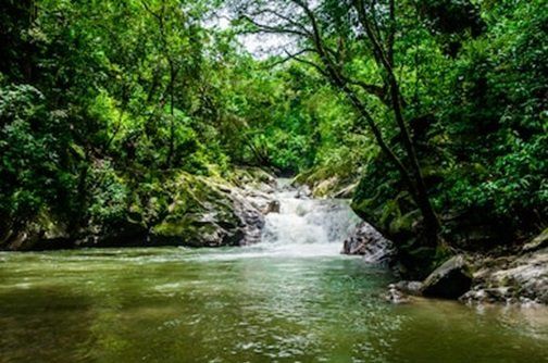 Cascadas de la Quebrada Valencia en Colombia