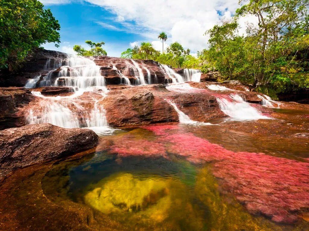 Caño Cristales