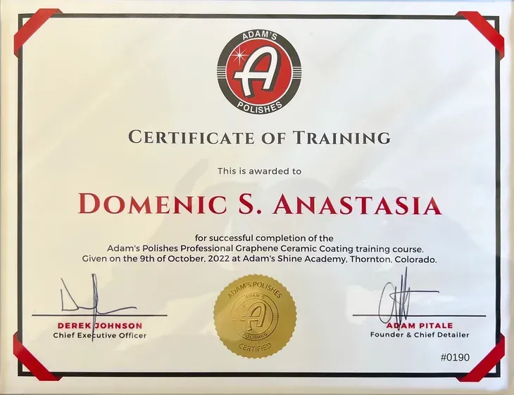 a certificate of training is awarded to domenic s. anastasia
