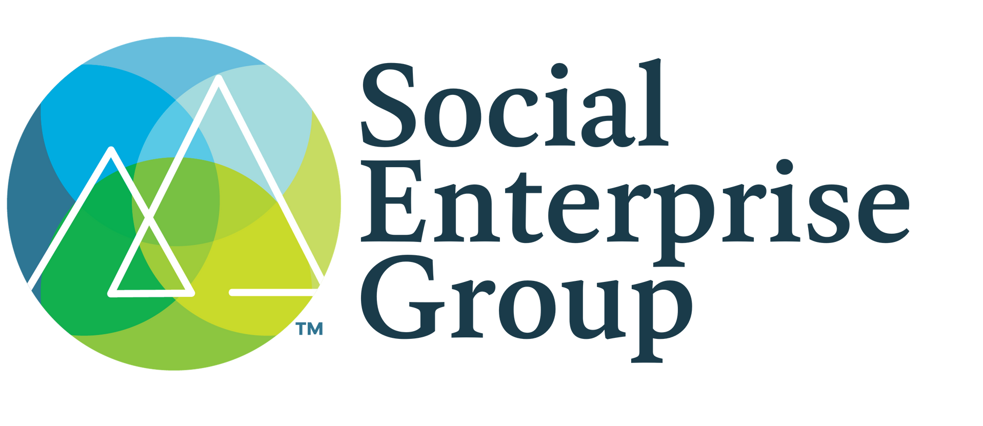 Social Enterprise Group – Helping Organizations Grow and Thrive