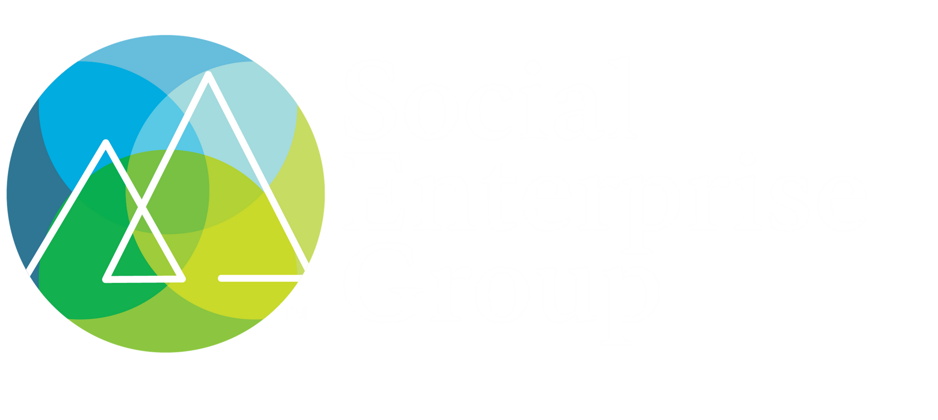 Social Enterprise Group – Helping Organizations Grow and Thrive