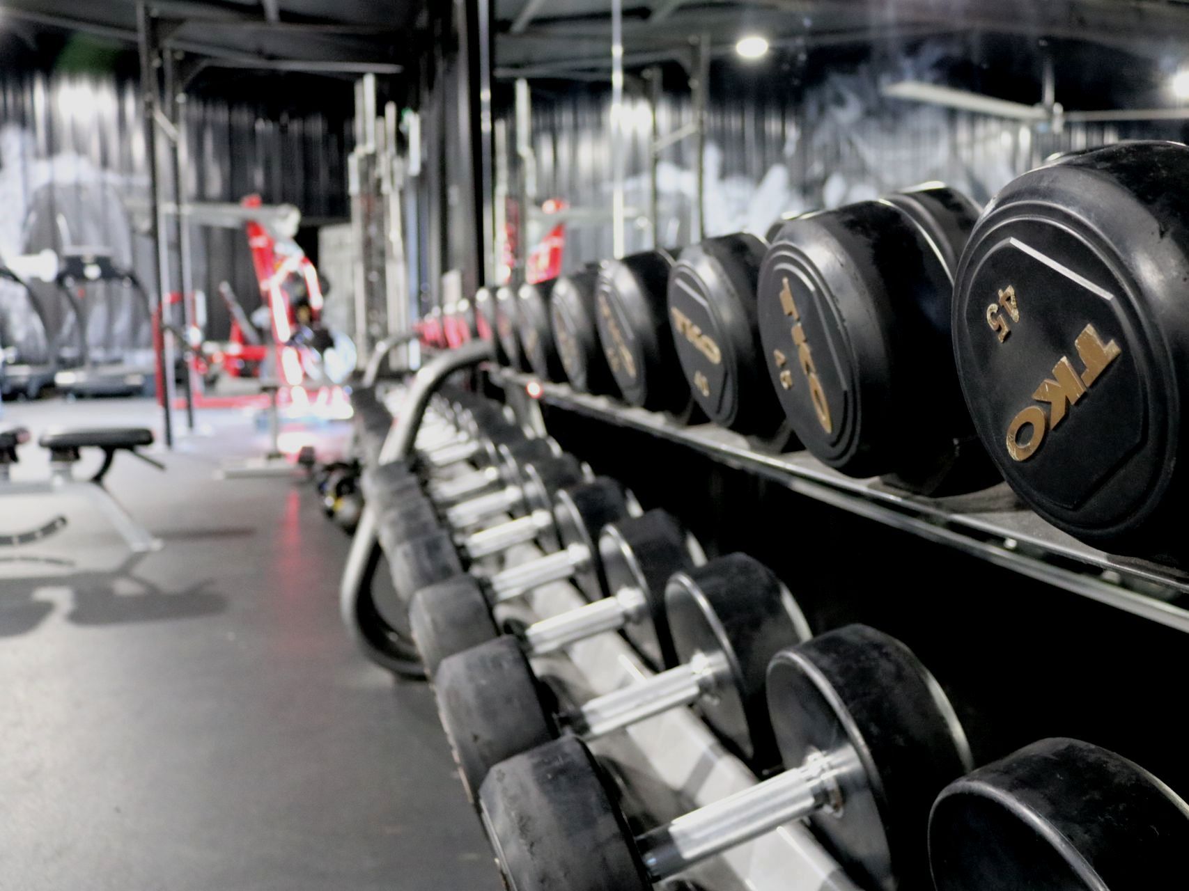 A row of dumbbells are lined up in a gym.