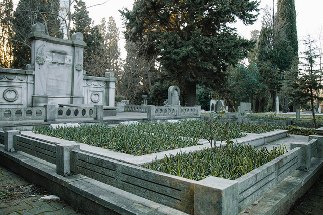 Types Of Burial Plots