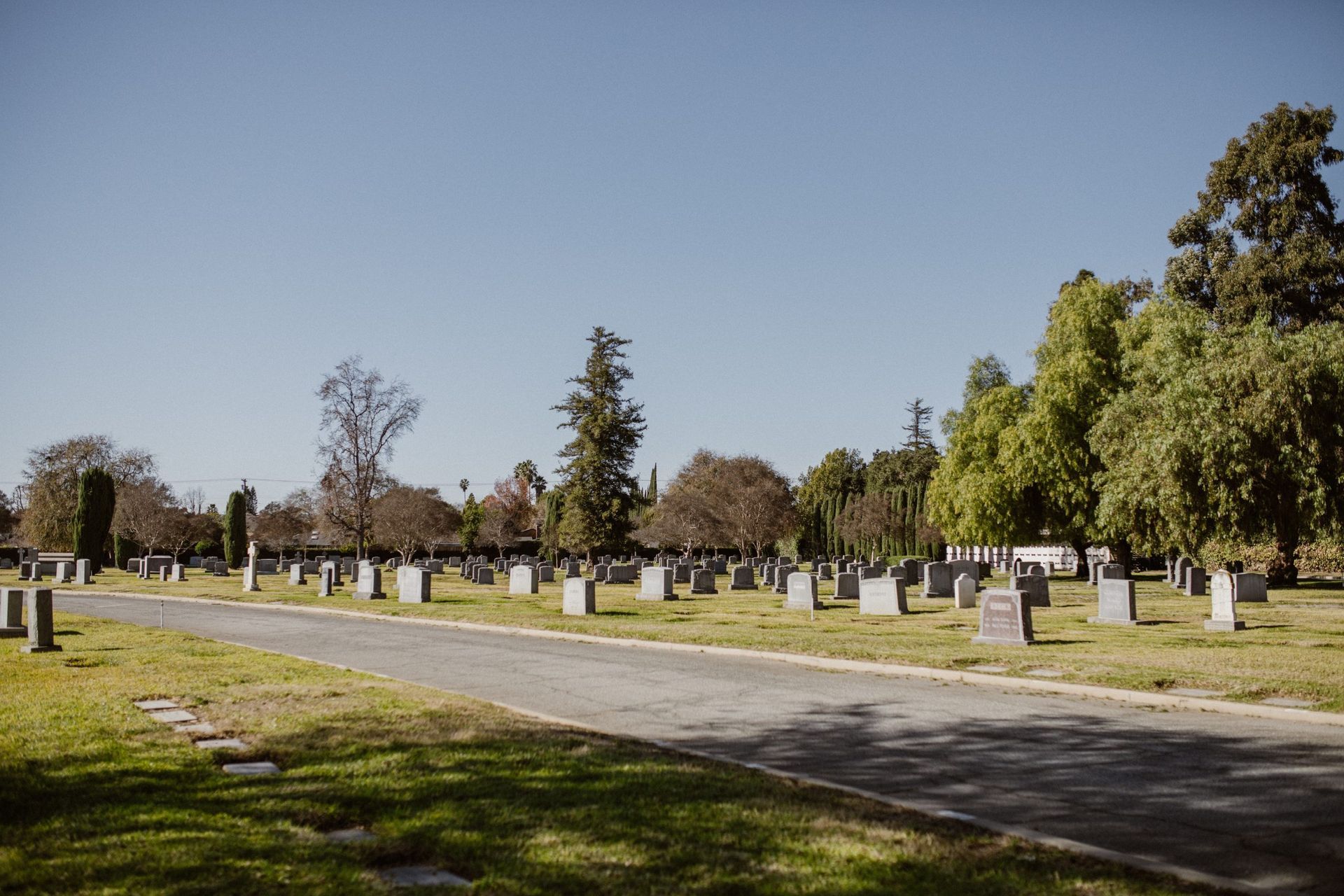 A cemetery with a lot of graves and trees on a sunny day.