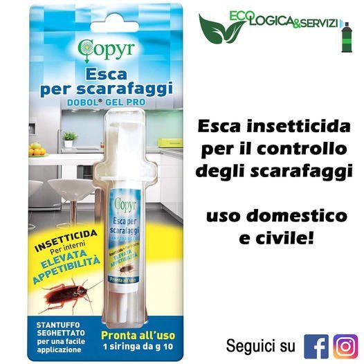 scarafaggi