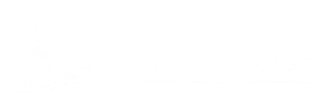SheCounts logo featuring a clean, modern design.