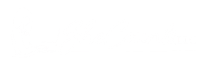 SheCounts logo featuring a clean, modern design.