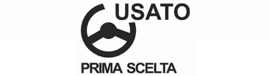 auto usate usato garantito