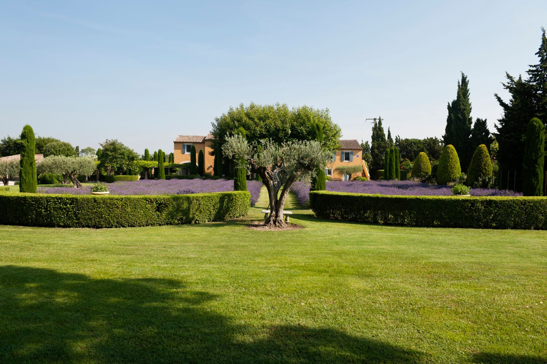 Creazione aree verdi