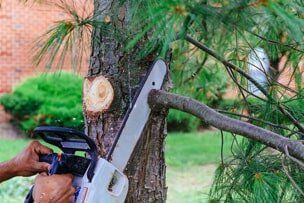 Tree — Cutting Trees using Chainsaw in Birmingham, AL