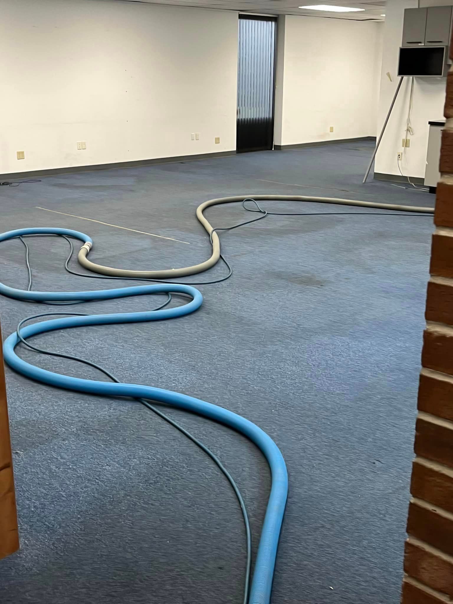 A blue hose is laying on a blue carpet in a room.