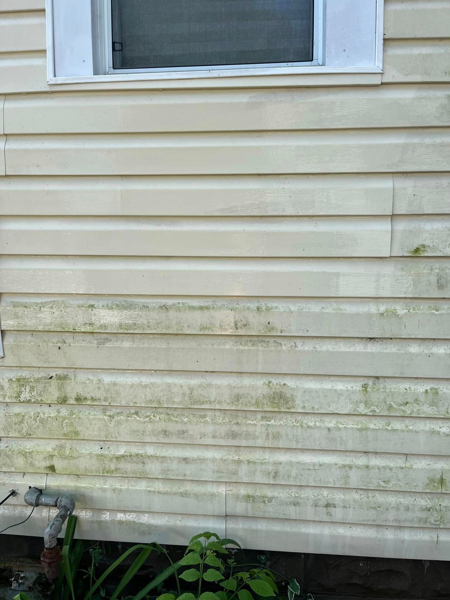 The side of a house with a window has a lot of green algae on it.