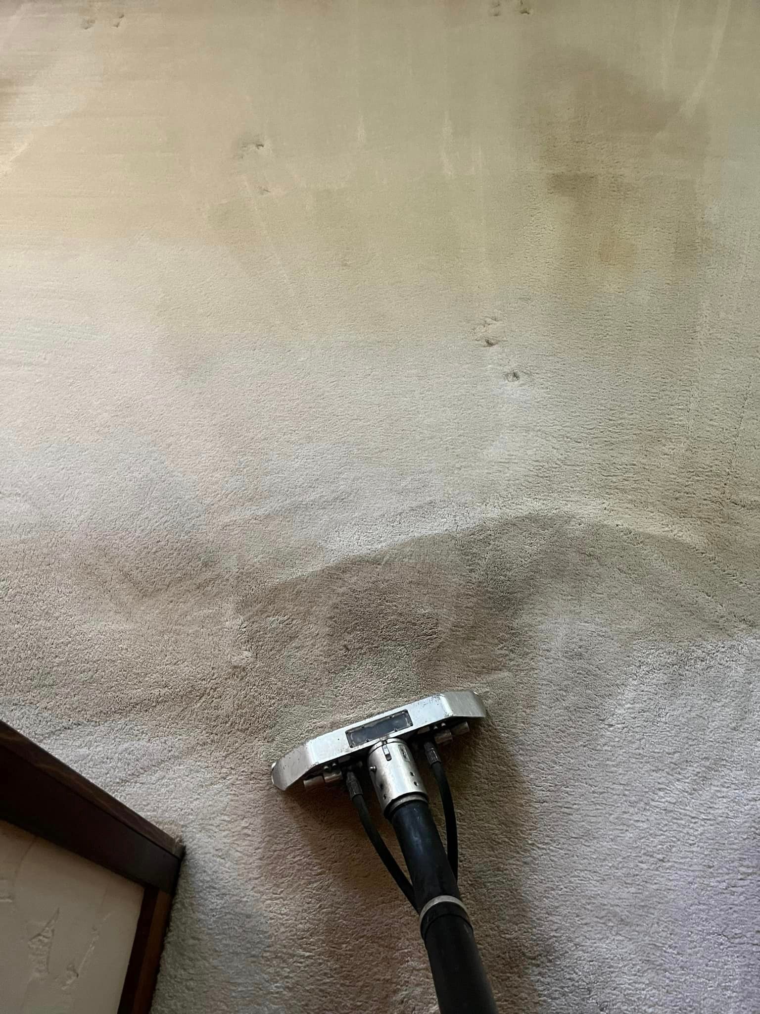 A vacuum cleaner is cleaning a carpet in a room.