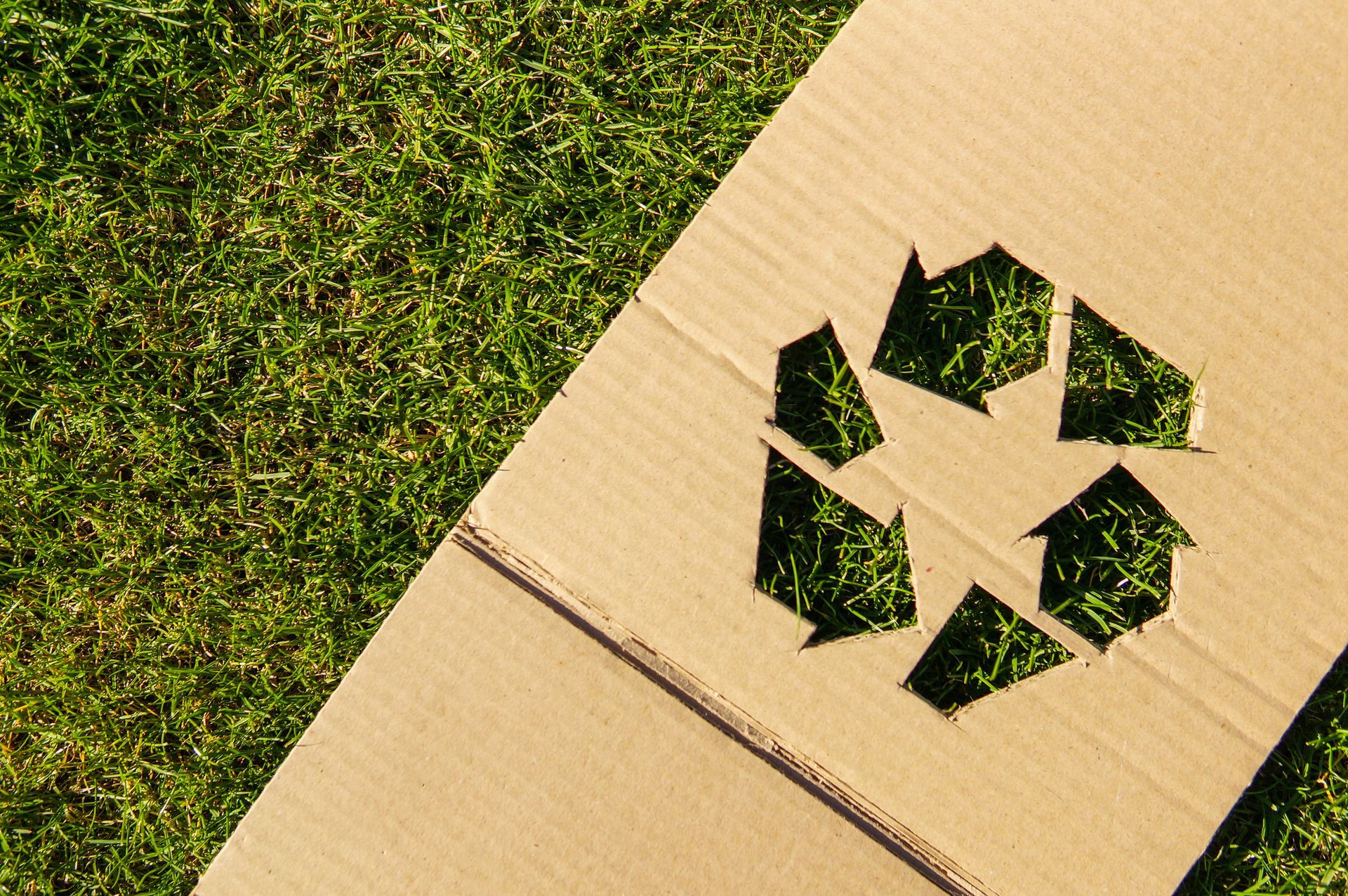 Vantaggi ambientali del cartone ondulato rispetto a plastica e polistirolo