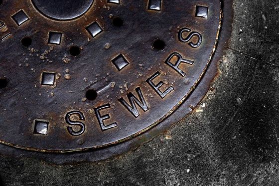 Sewer Service — Royal Oak, Michigan — Nelson Brothers