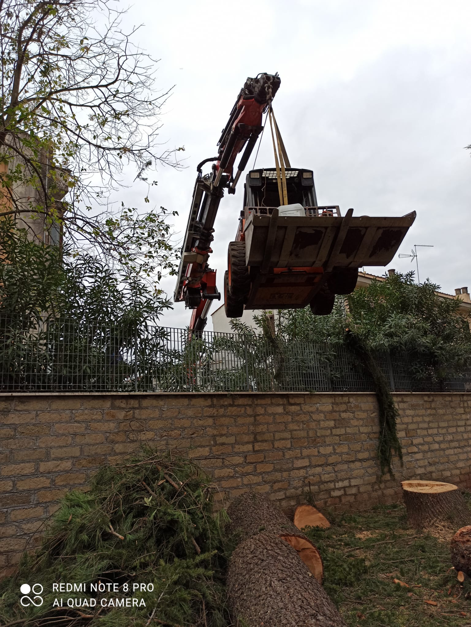 Piattaforma aerea per giardinaggio