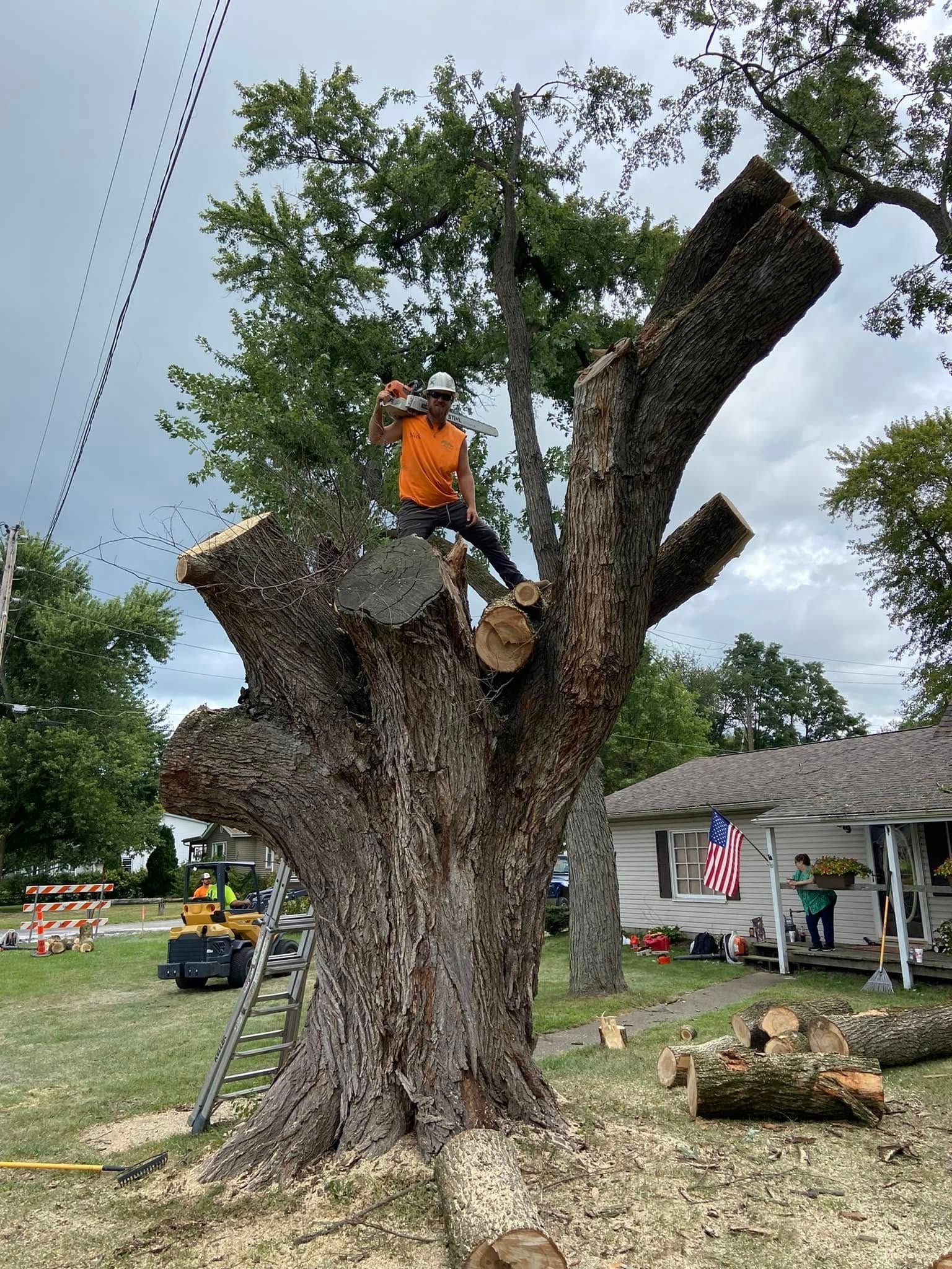 A man is standing on top of a tree cutting a tree with a chainsaw.