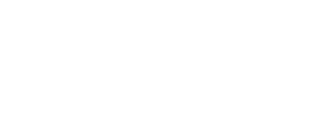 Estrella Marketing Brillante -Agencia de Marketing en Los Cabos