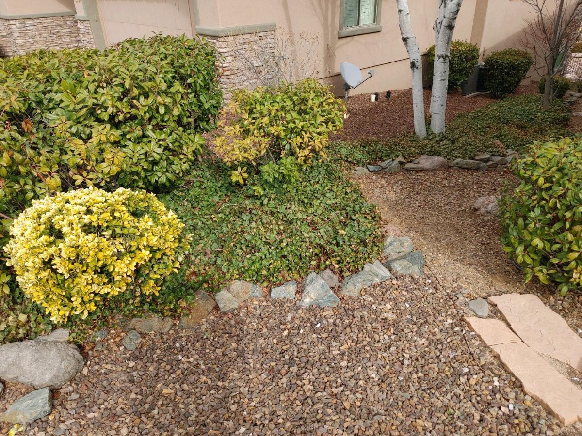 Landscape with various green and yellow bushes, gravel path, and small stone border near a building.