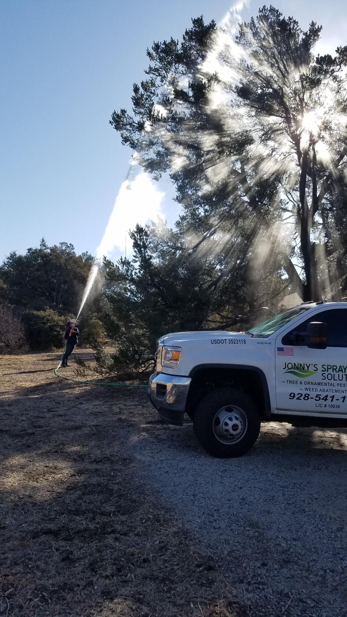 Person spraying a tree with water, bright sun shining through the mist, next to a white truck with a logo.