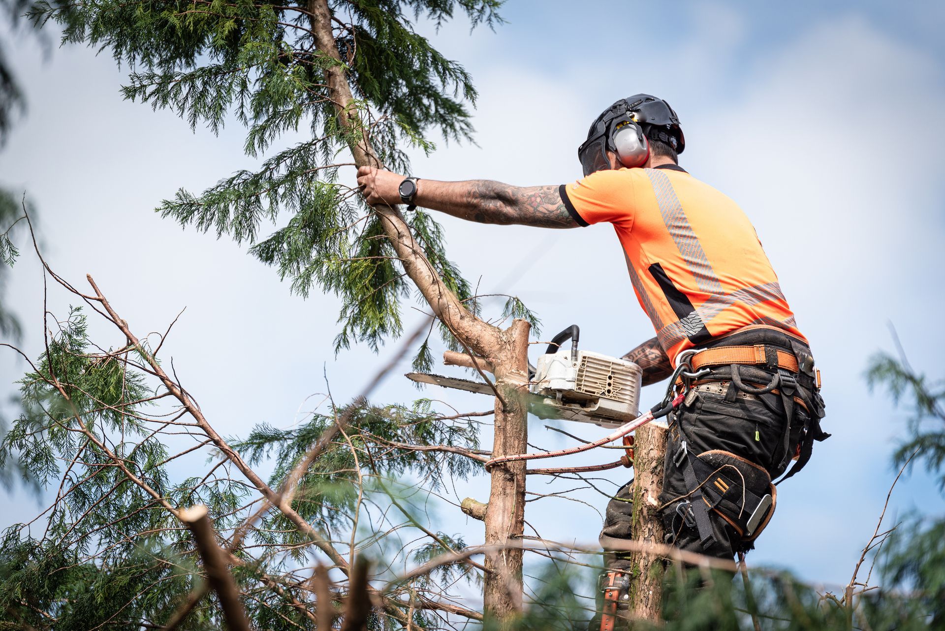 Arborist cutting tree branches with chainsaw during professional tree trimming.
