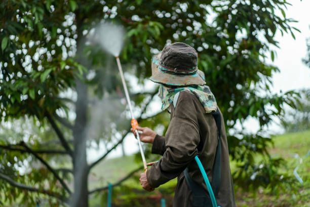 Tree pest control worker spraying pesticide on orchard trees in protective clothing.