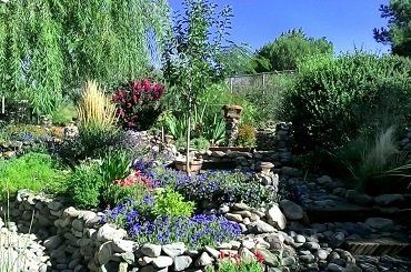 After Tree Landscape — Prescott, AZ — Jonny’s Spray Solutions