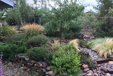After Garden Treatment Landscape — Prescott, AZ — Jonny’s Spray Solutions