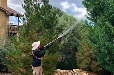 Pesticide Spraying — Prescott, AZ — Jonny’s Spray Solutions Pesticide Spraying — Prescott, AZ — Jonny’s Spray Solutions