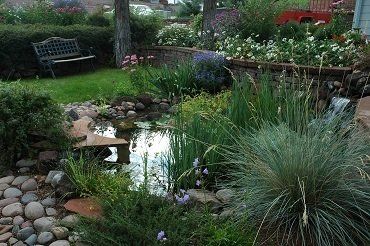Beautiful Landscape — Prescott, AZ — Jonny’s Spray Solutions