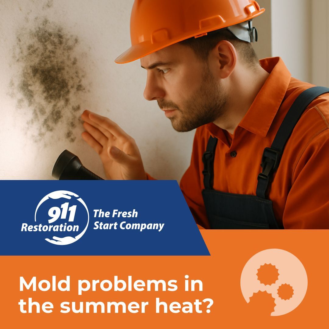 Mold Remediation in Jersey City, NJ