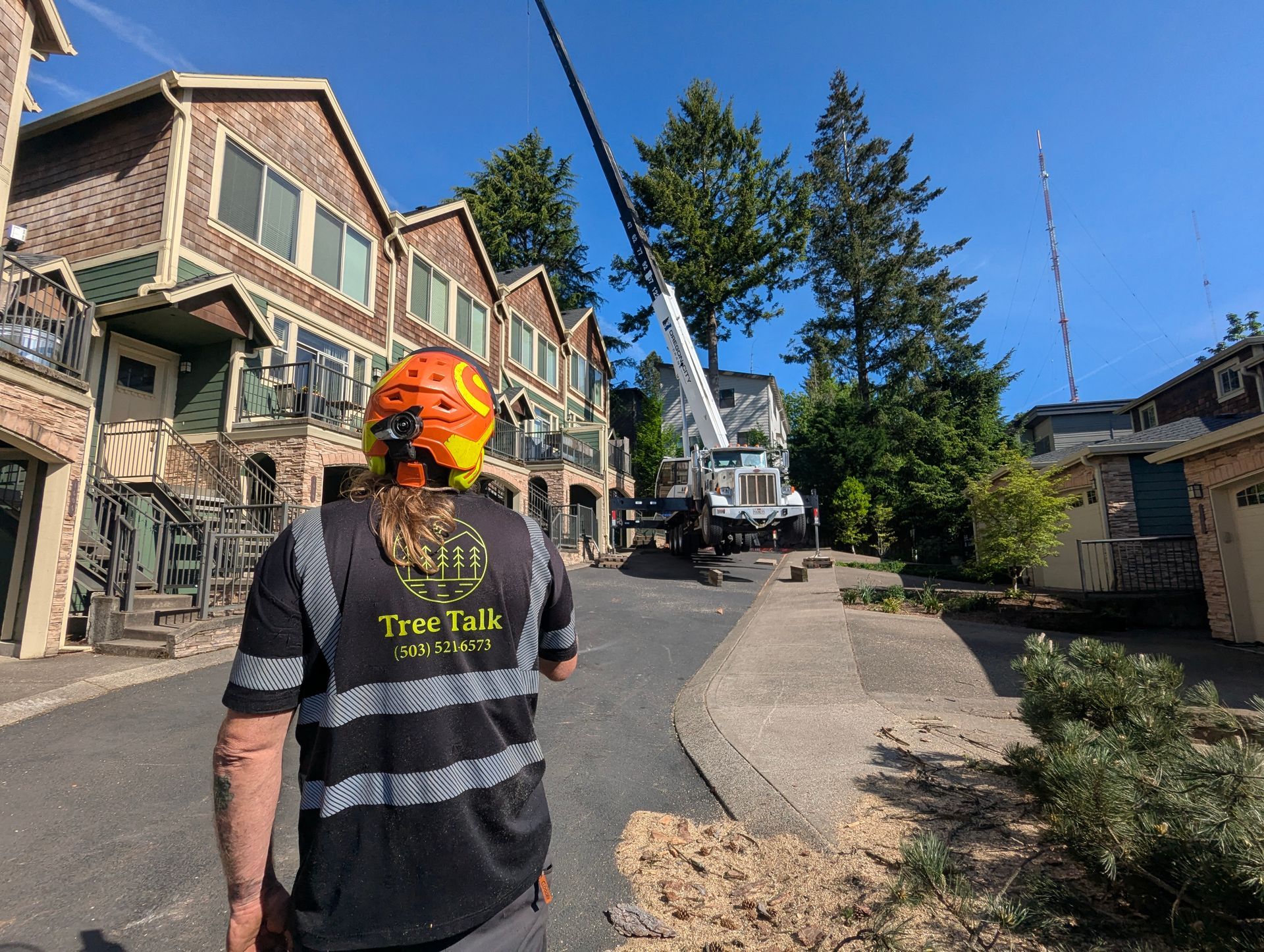 Tree Cutting Service North Plains