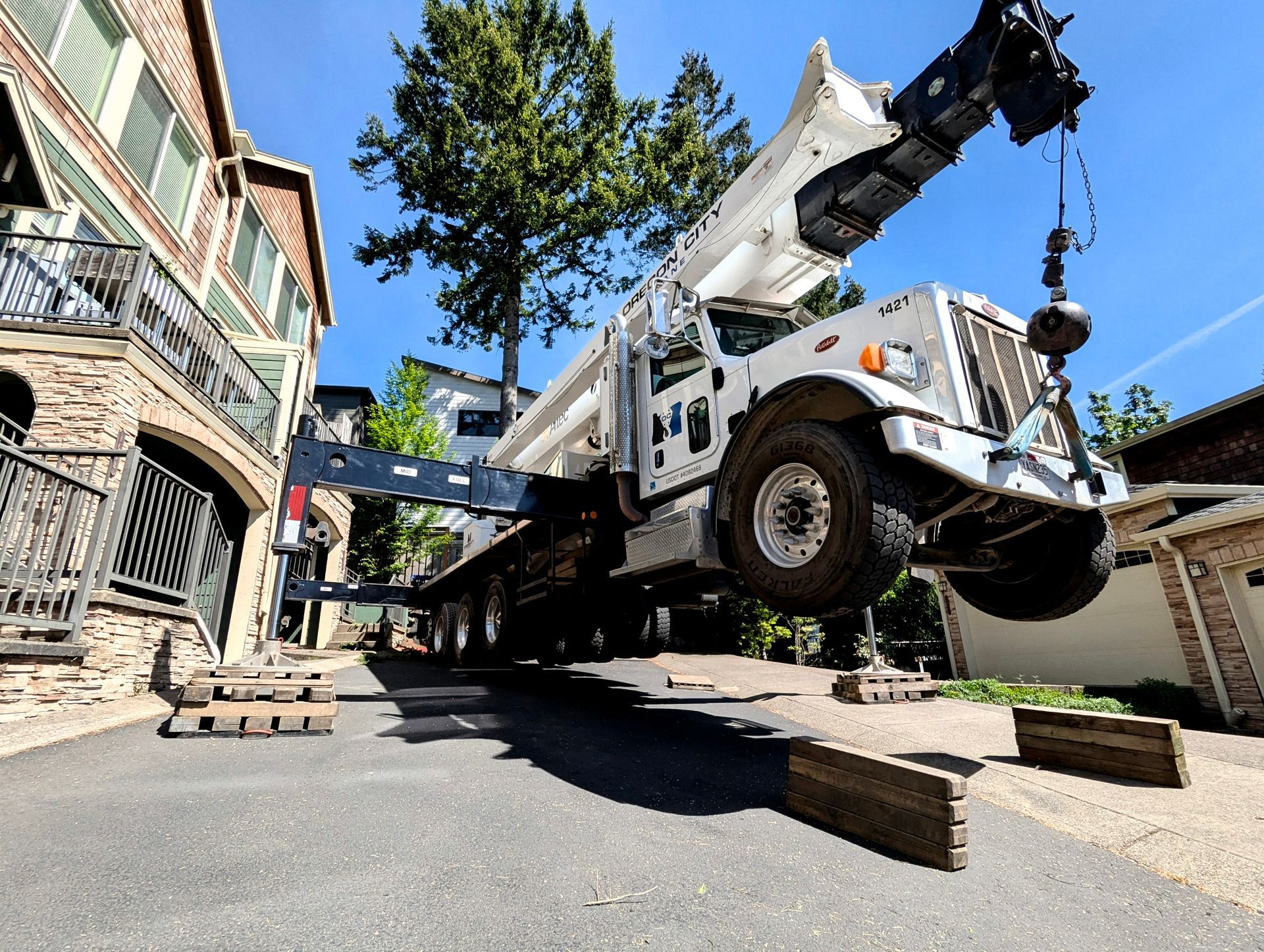 Tree Removal Hillsboro