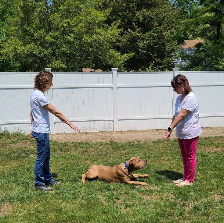 Sandy teaching a dog owner how to use the hand signal for "down" with the dog laying obediently between them.