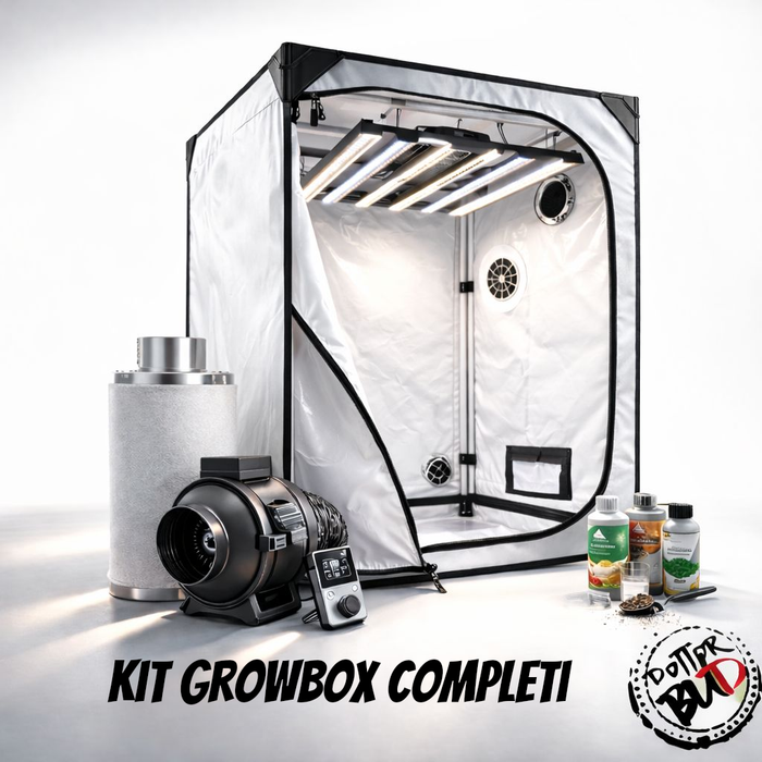 Kit Growbox Completi