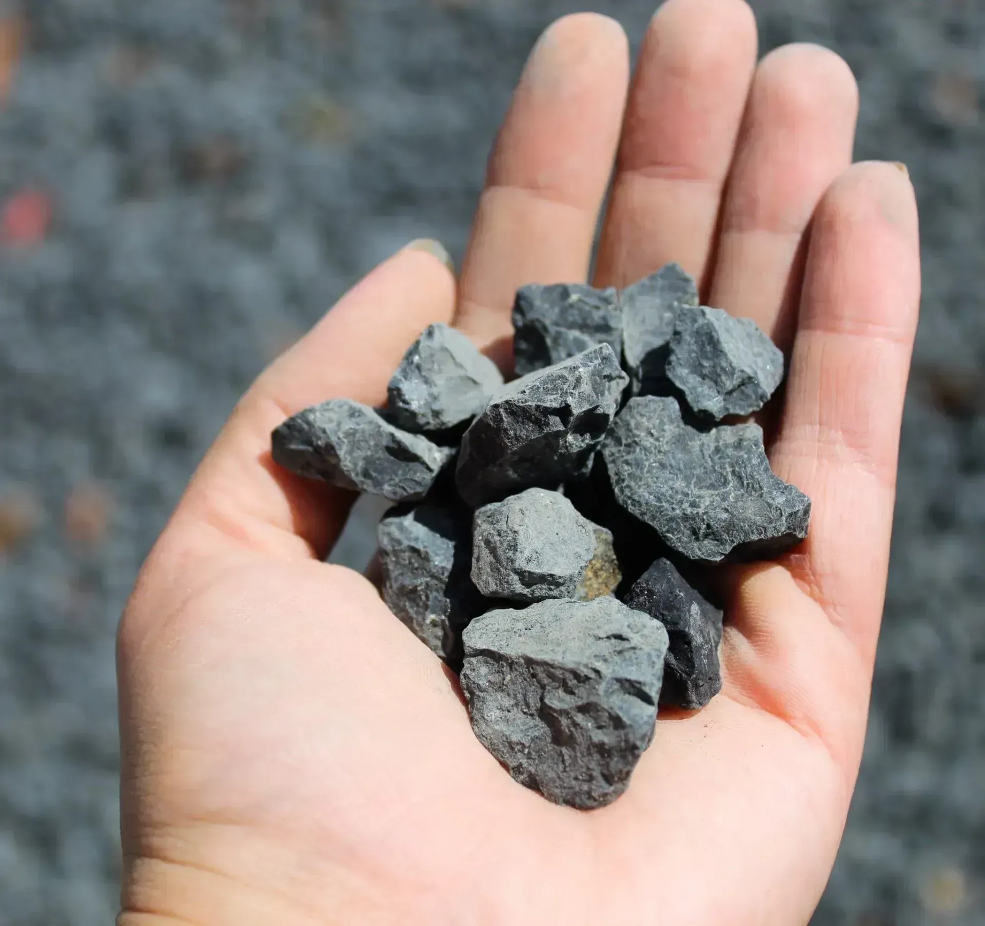 Hand Holding a Pile of Dark Gray Rocks — Blue Dog Earthmoving Landscape Supplies in Bellingen, NSW
